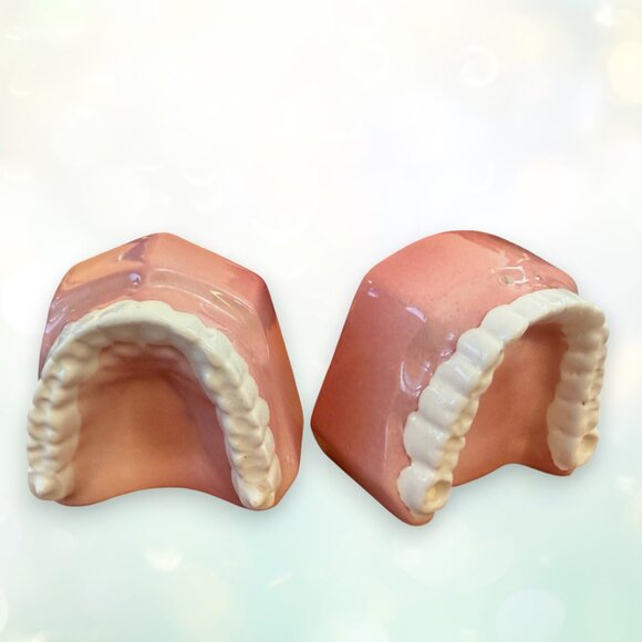 Hilarious Rare Vintage 1981 False Teeth Dentures Novalty Salt and Pepper Shakers - Picture 1 of 10